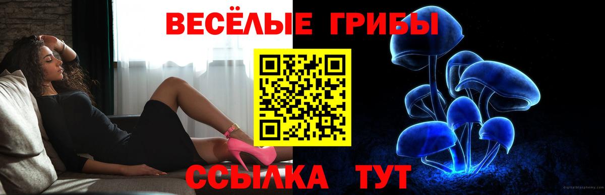 Галлюциногенные грибы MAGIC MUSHROOMS  Вход с VPN  Петрозаводск 